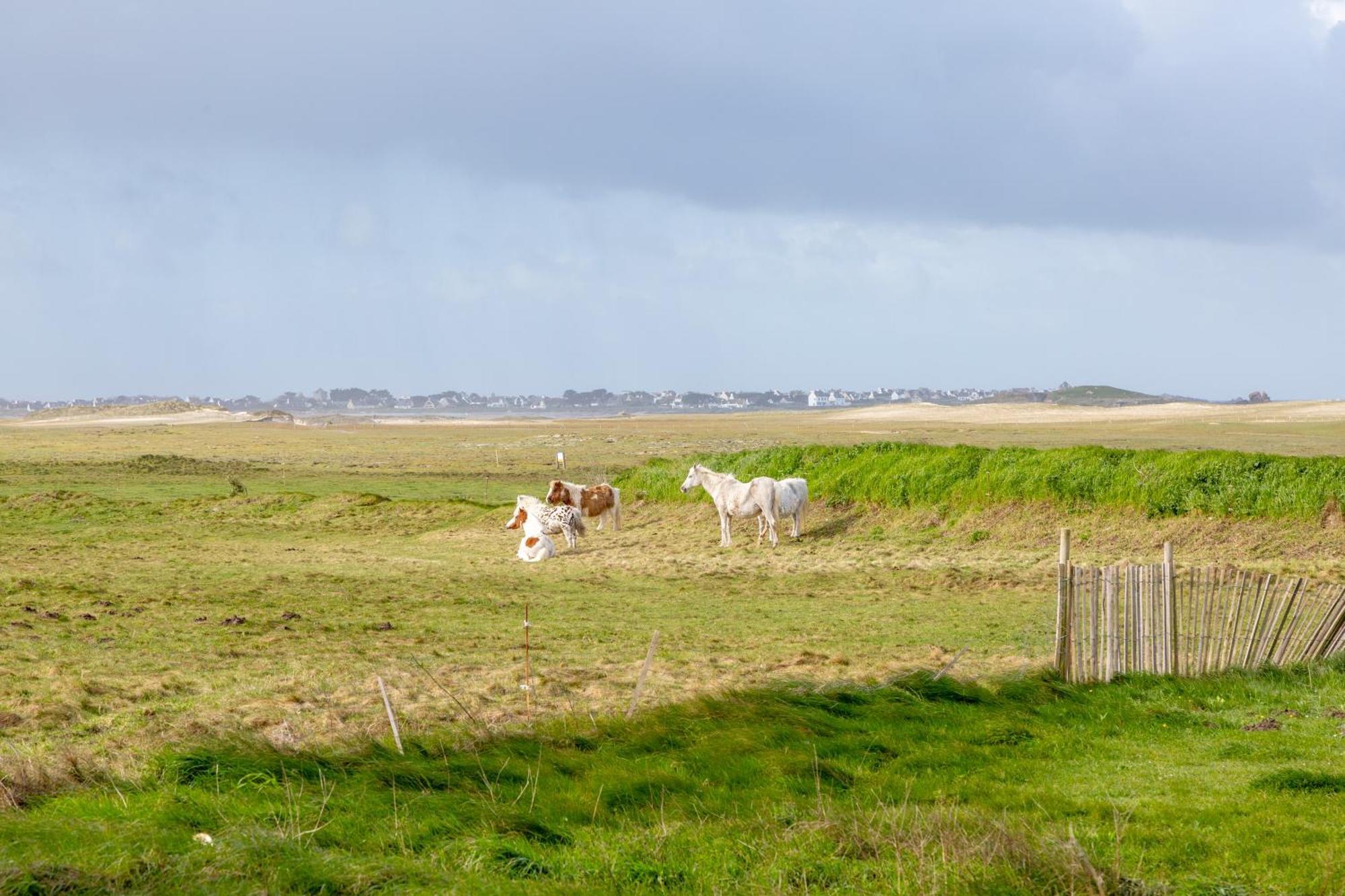 Ty Mam-Goz - Pointe De La Torche Villa Plomeur ภายนอก รูปภาพ